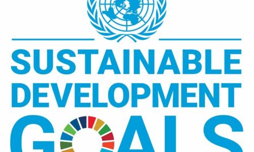 Nonprofit Sustainability & SDG Alignment Training