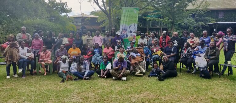 Malaika initiative people with disability charity walk 768x335