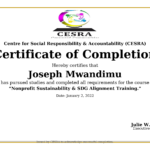 Nonprofit Sustainability & SDG Alignment Training