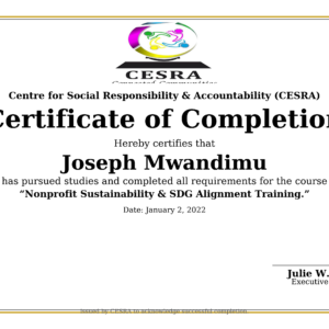 Nonprofit Sustainability & SDG Alignment Training